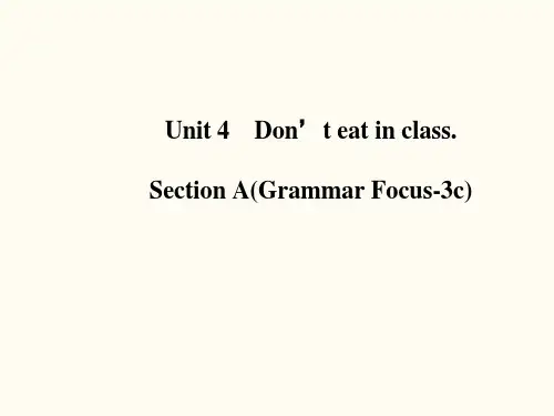 Unit4SectionA(GrammarFocus-3(完整版)