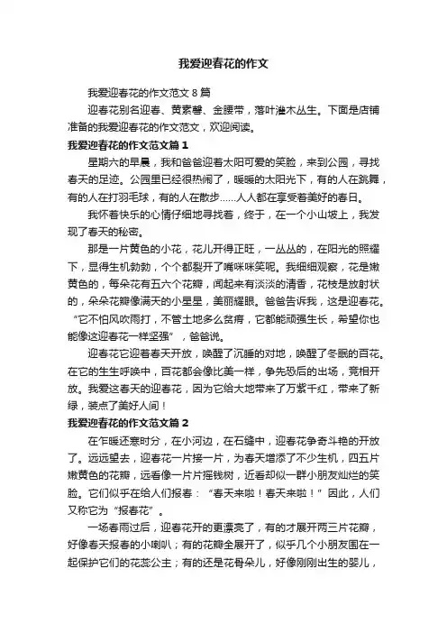 我爱迎春花的作文
