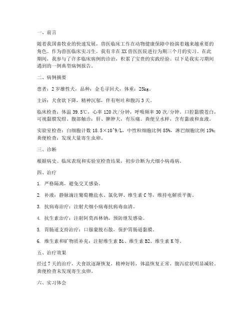兽医临床实习生案例报告