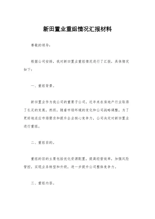 新田置业重组情况汇报材料