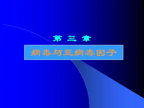 第03章  病毒与亚病毒因子