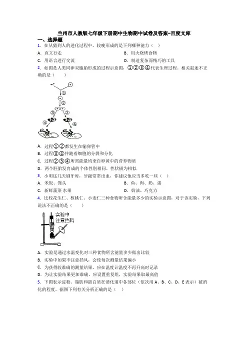 兰州市人教版七年级下册期中生物期中试卷及答案-百度文库