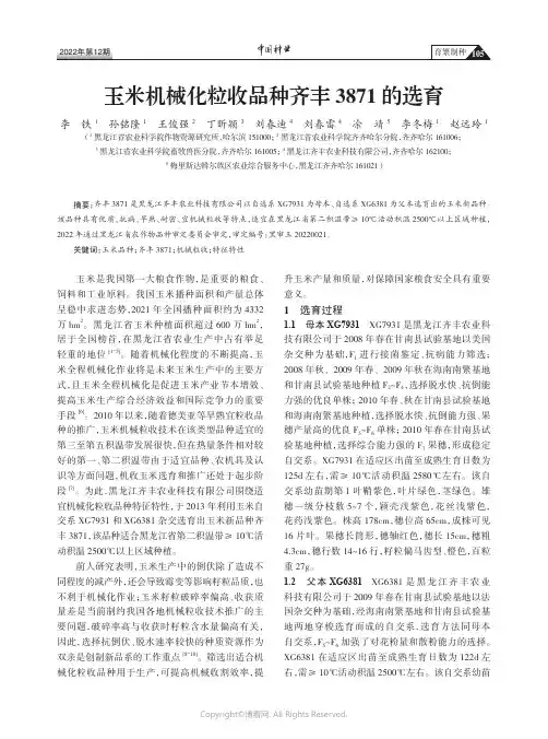 玉米机械化粒收品种齐丰3871的选育