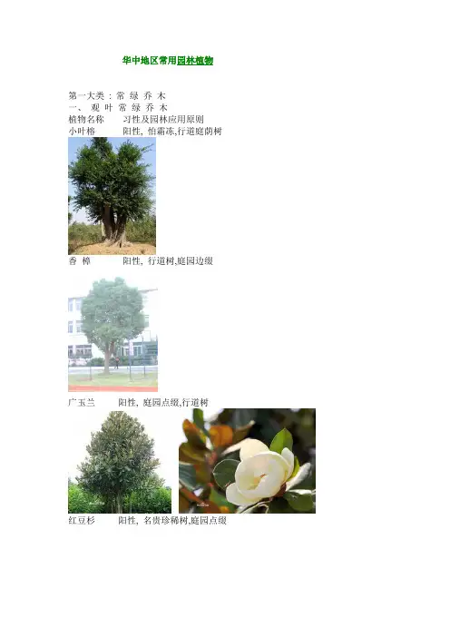 华中地区常用园林植物及图例