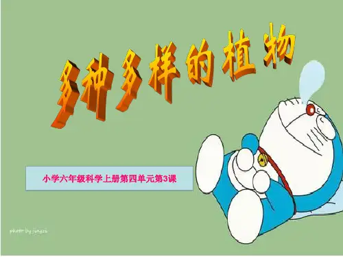 教科版科学六年级上册《多种多样的植物》PPT