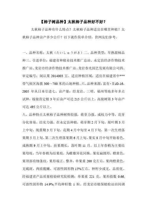 【柿子树品种】太秋柿子品种好不好？