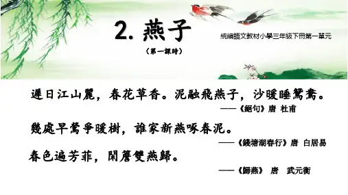 人教版三年级语文课件-燕子
