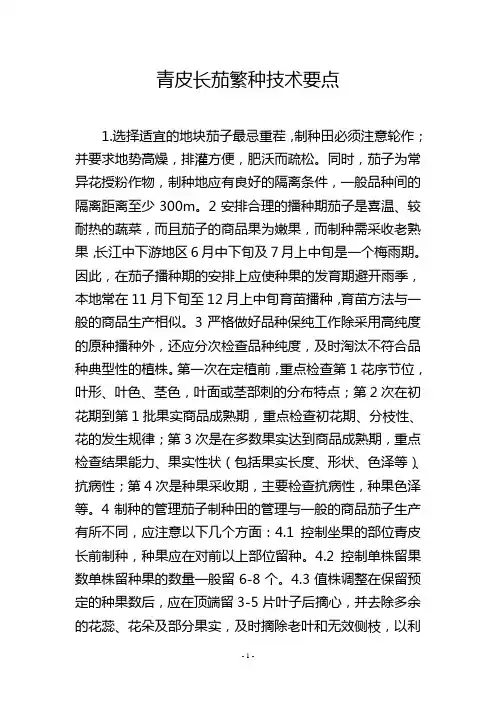 青皮长茄繁种技术要点