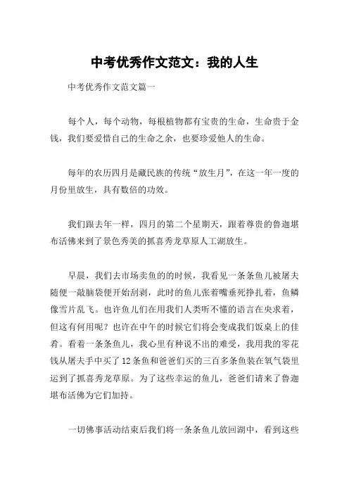 中考优秀作文范文：我的人生