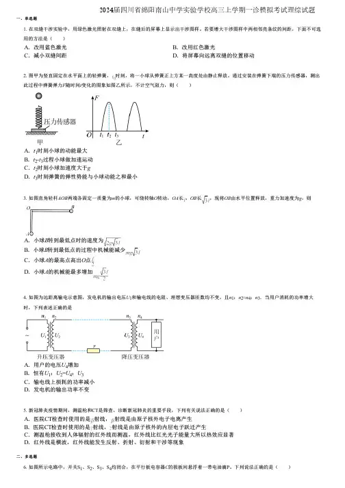 2024届四川省绵阳南山中学实验学校高三上学期一诊模拟考试理综试题
