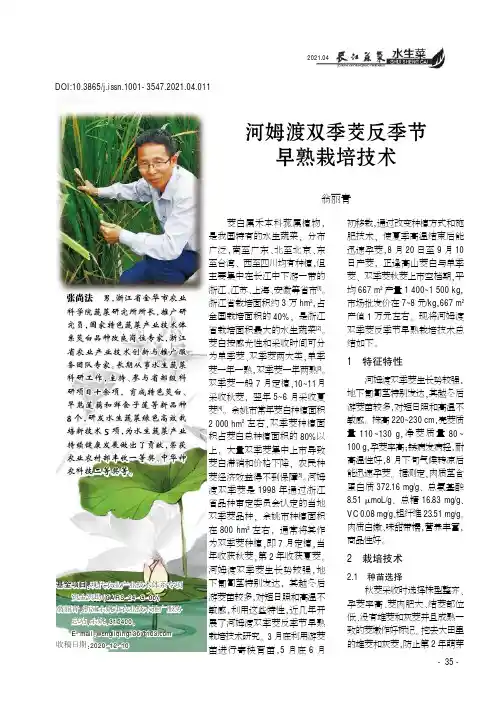 河姆渡双季茭反季节早熟栽培技术