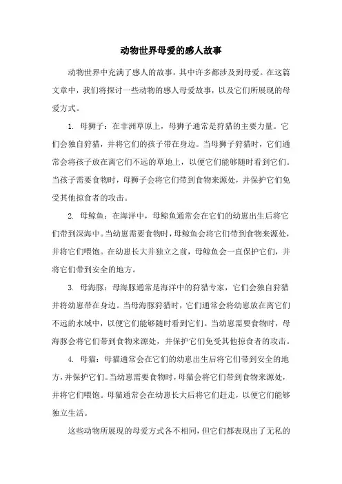 动物世界母爱的感人故事