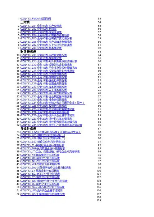 2013年度财务决算全部表格(231张)