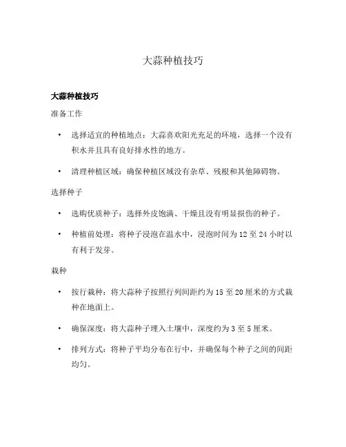 大蒜种植技巧