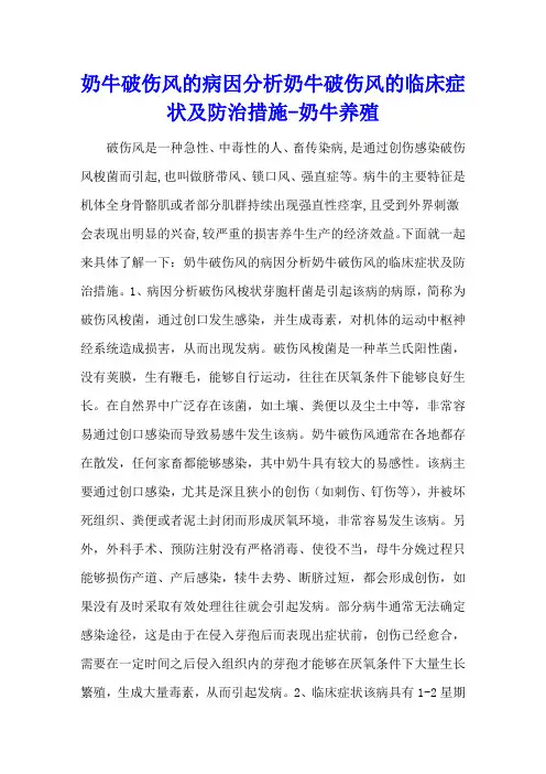 奶牛破伤风的病因分析 奶牛破伤风的临床症状及防治措施 - 奶牛养殖