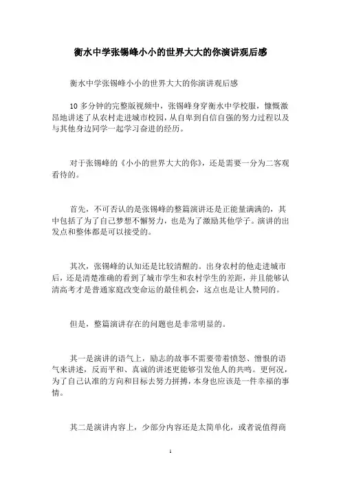 衡水中学张锡峰小小的世界大大的你演讲观后感