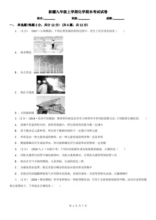 新疆九年级上学期化学期末考试试卷