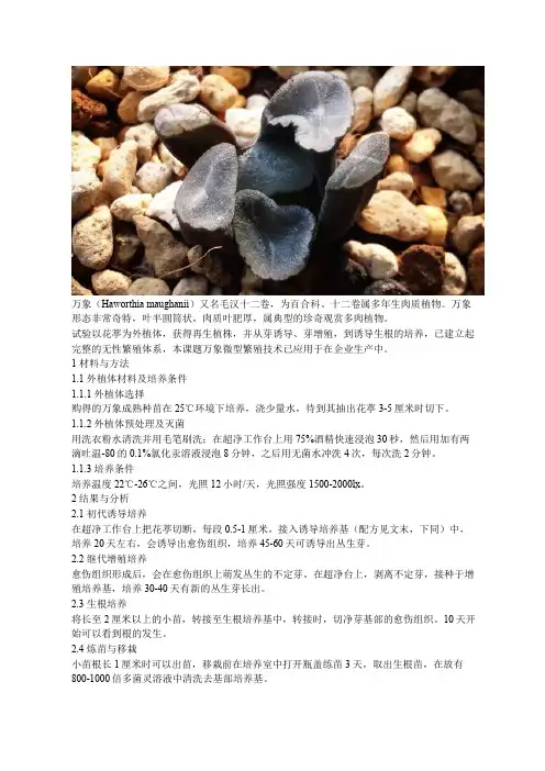 多肉万象组培快繁技术实例分享 · 附配方