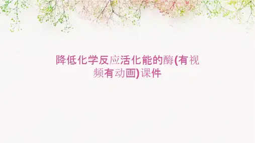 降低化学反应活化能的酶(有视频有动画)课件