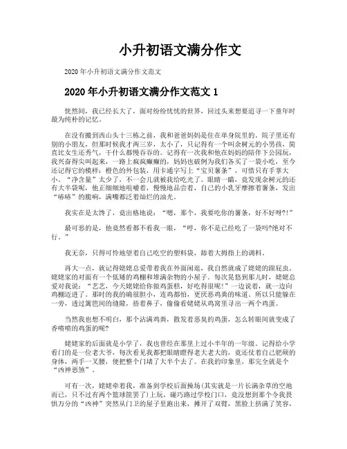 小升初语文满分作文