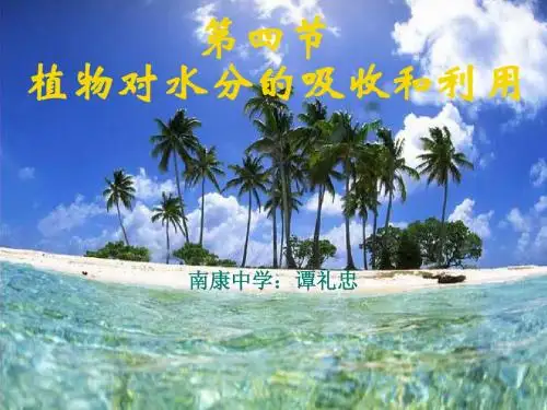 植物对水分的吸收和利用 改