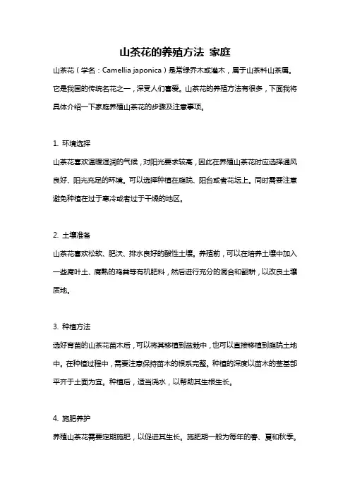 山茶花的养殖方法 家庭