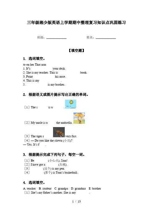 三年级湘少版英语上学期期中整理复习知识点巩固练习