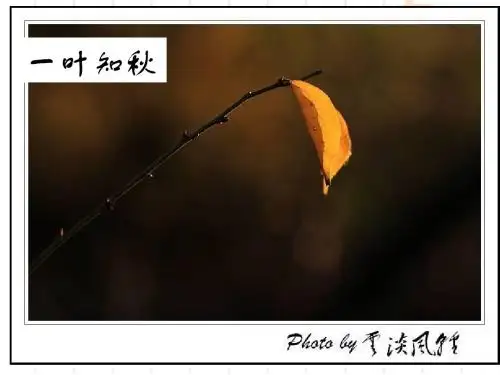 一叶知秋以小细节见大汇编