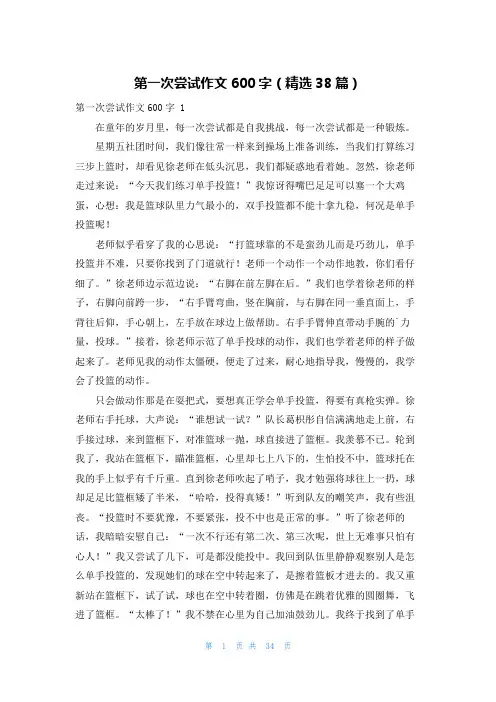 第一次尝试作文600字(精选38篇)