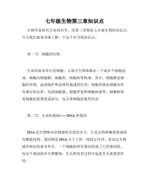七年级生物第三章知识点