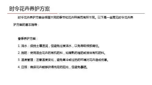 时令花卉养护方案