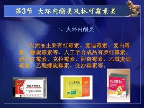 大环内酯类