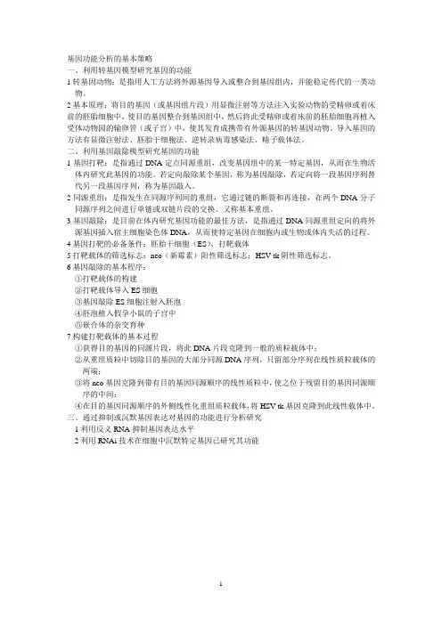 基因功能分析的基本策略