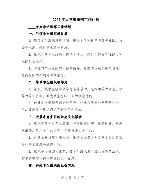 2024年大学组织部工作计划