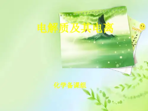 电解质及其电离PPT教学课件