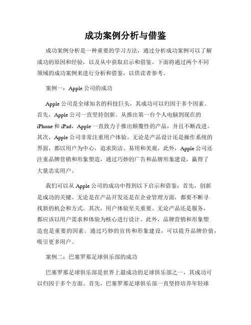 成功案例分析与借鉴