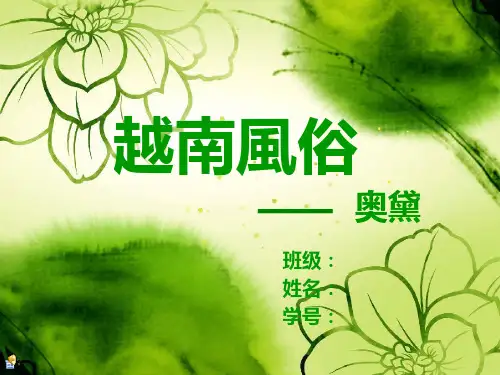 越南风俗
