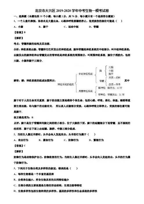 北京市大兴区2019-2020学年中考生物一模考试卷含解析