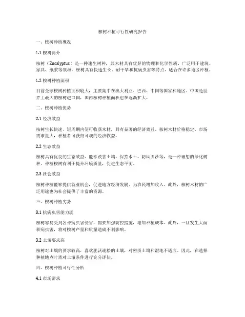 桉树种植可行性研究报告