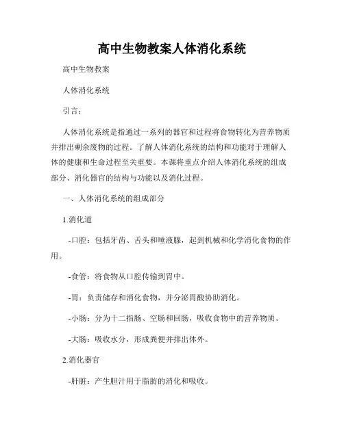 高中生物教案人体消化系统