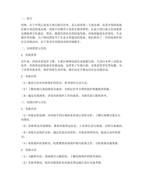 保护洱海社会实践报告