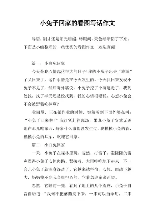 小兔子回家的看图写话作文 2