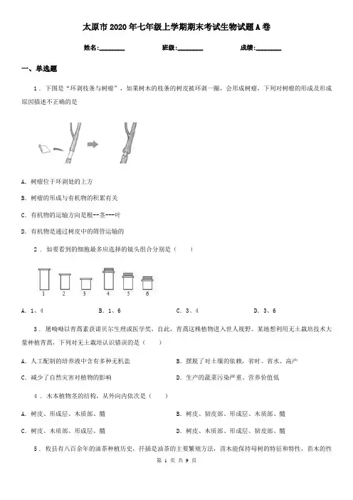 太原市2020年七年级上学期期末考试生物试题A卷