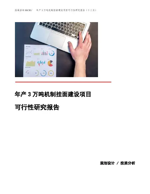 年产3万吨机制挂面建设项目可行性研究报告（十三五）