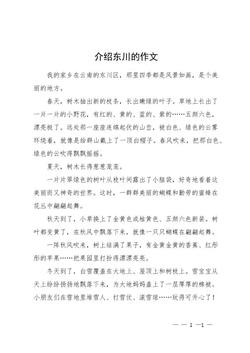 介绍东川的作文