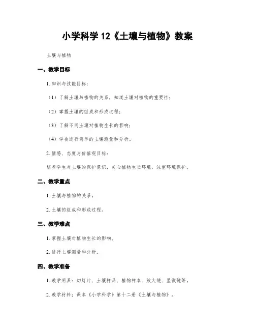 小学科学12《土壤与植物》教案