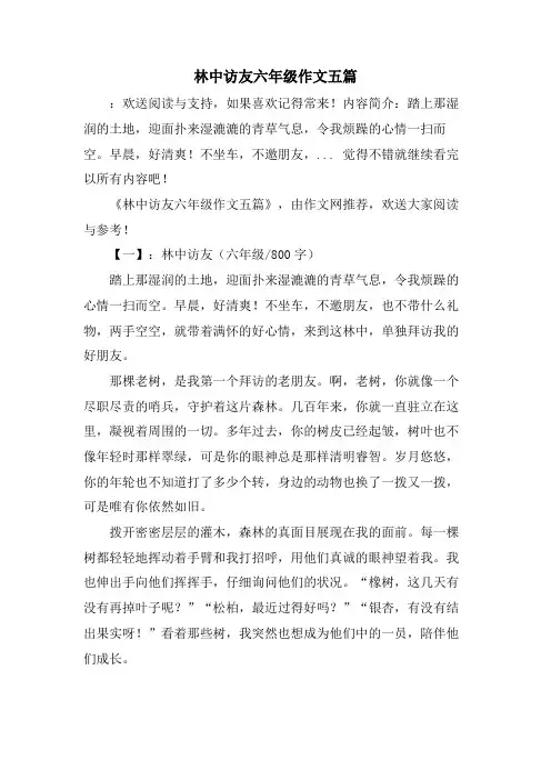 林中访友六年级作文五篇