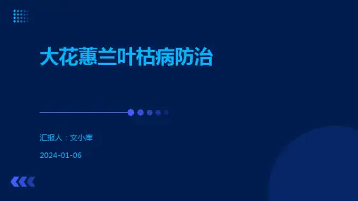 大花蕙兰叶枯病防治