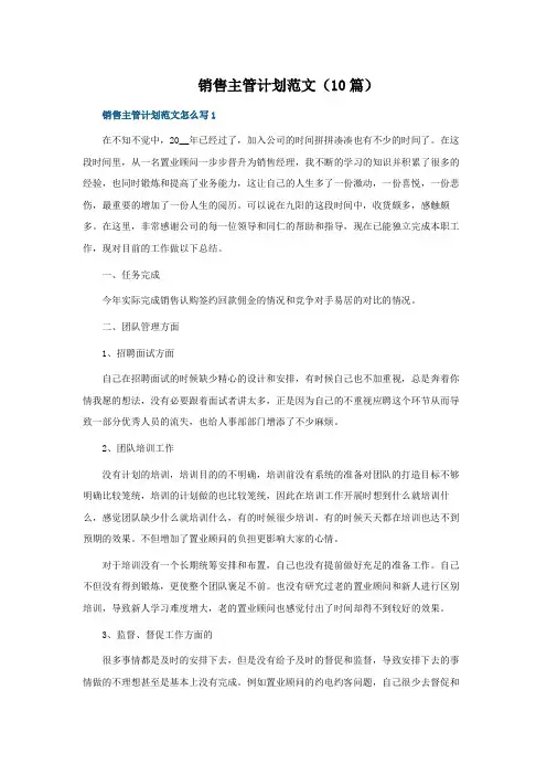 销售主管计划范文(10篇)