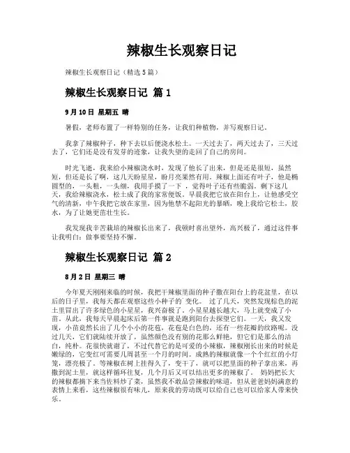 辣椒生长观察日记